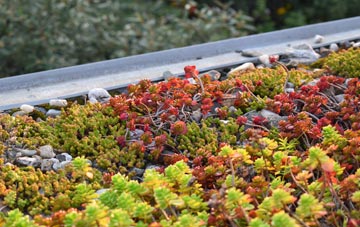 the cost of Aperfield green roof installation