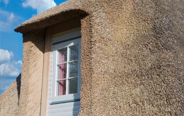 Aperfield thatch roof disadvantages